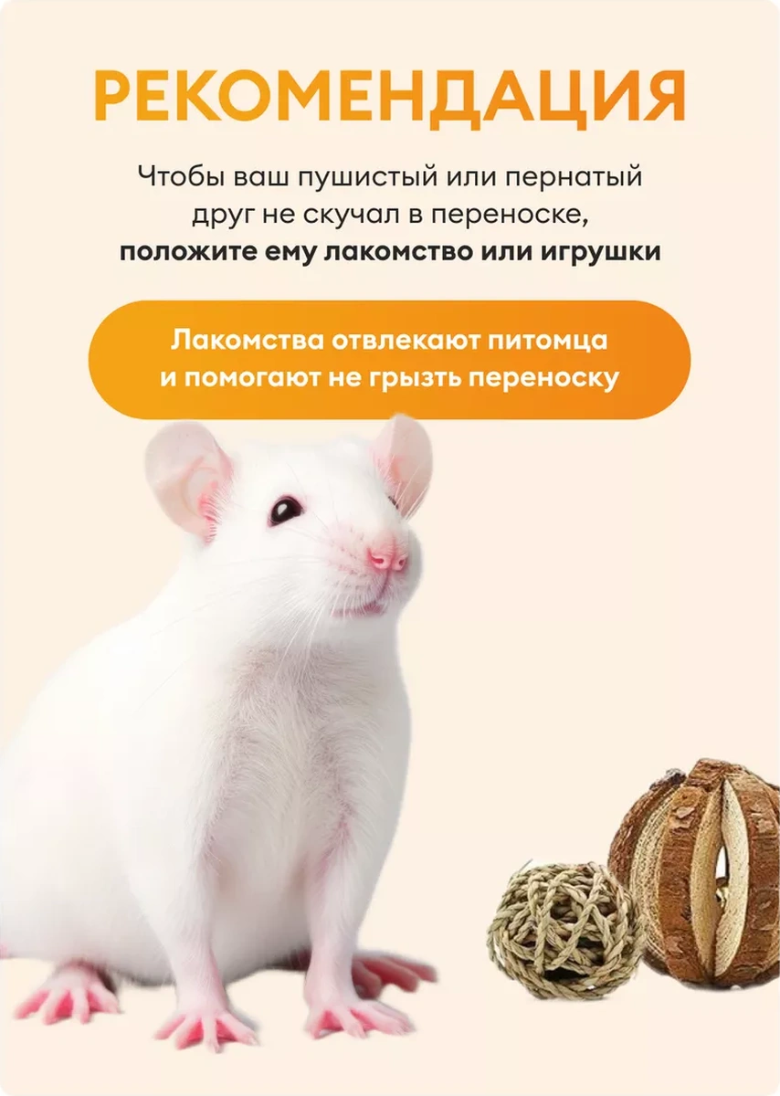 Loorı Kemirgenler Ve Kuşlar İçin Taşıyıcı Mini 25x21x16 165460967