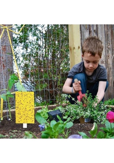 Zyzqstore 100 Adet Güçlü Meyve Sineği Tuzağı, Böcek Sarı Yapışkanlı Farklı Renklerde, 30-100 Adet