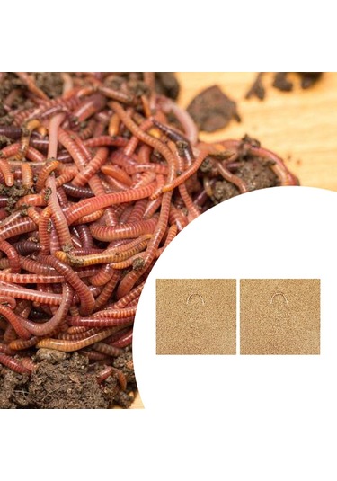 Suntek Solucanlar Battaniye Pencere Kutusu 60x60 Cm Ekici 2-adet