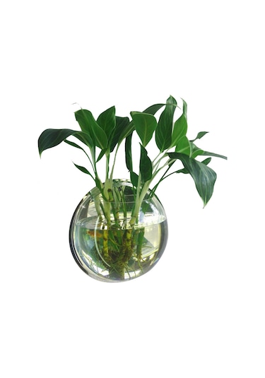 Hombey Duvar Takılı Akvaryum, Akrilik Materyal, 15 Cm Çap, Kolay Kurulum, Ev/ofis Dekorasyonu, Type 1 Ayna