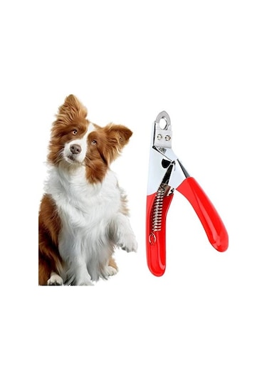 Çelik Uçlu Kedi Köpek Tırnak Makası 12 Cm