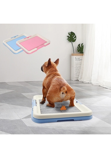 Taşınabilir Köpek Eğitim Tuvaleti - Kapalı Köpekler İçin Lazımlık, Kedi Kumu Kutusu Ve Ped Tutucu