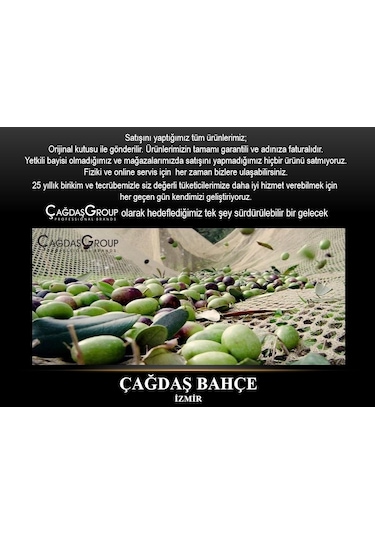 Volpi 555Xl Zeytin Hasat Makinesi 24V İtalyan 2  Devirli