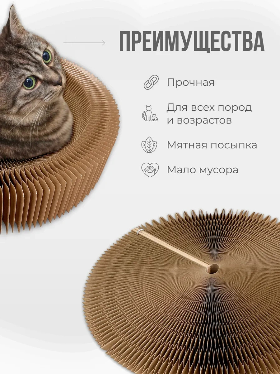 Kogtedralka Karton Yer Kedi Tırmalama Tahtası 123811523