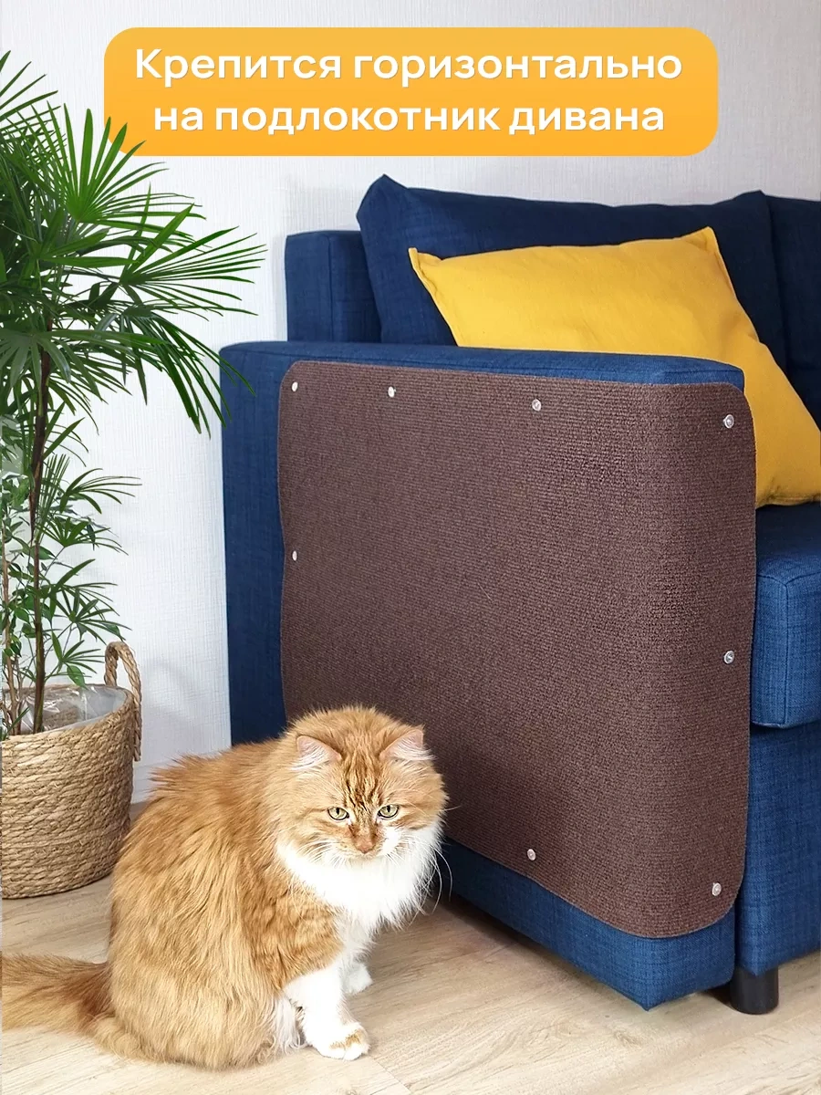 Aseliadia Kedi Kınağı - 80x50 Cm Kanepe Tipi 214462810