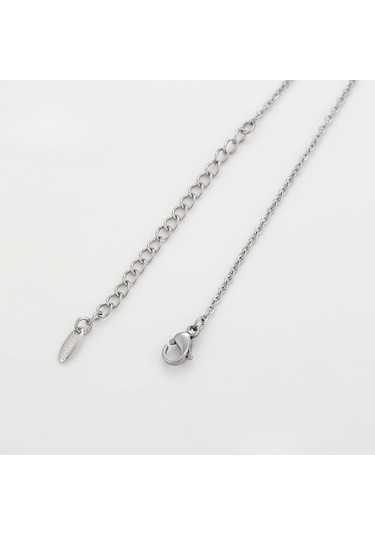 Zirkon Taşlı Kar Tanesi Motifli Platin Kaplama Kadın Kolye Silver