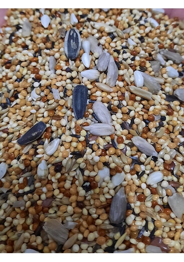 Nfs Agro Lüks Premium Sultan Ve Cennet Papağan Yemi 1 KG