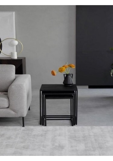 Black Steel Metal Saclı Zigon Sehpa Siyah