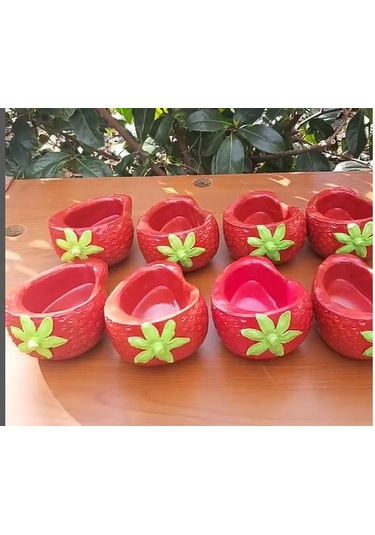 Çilek Saksı İç-dış Mekan