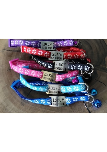 Kedi Tasması,Sallanmayan Kedi Künyesi,Köpek Tasması,Kedi Isimlik