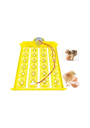 Pazly Yumurta Yumurta Tepsisi Tavuk Suntek Otomatik Çevirme 24 Cx