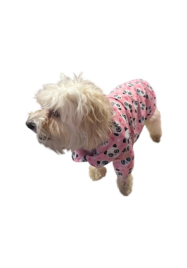 Gedyco Pink Panda Polarlı Küçük Irk Köpek Yağmurluğu