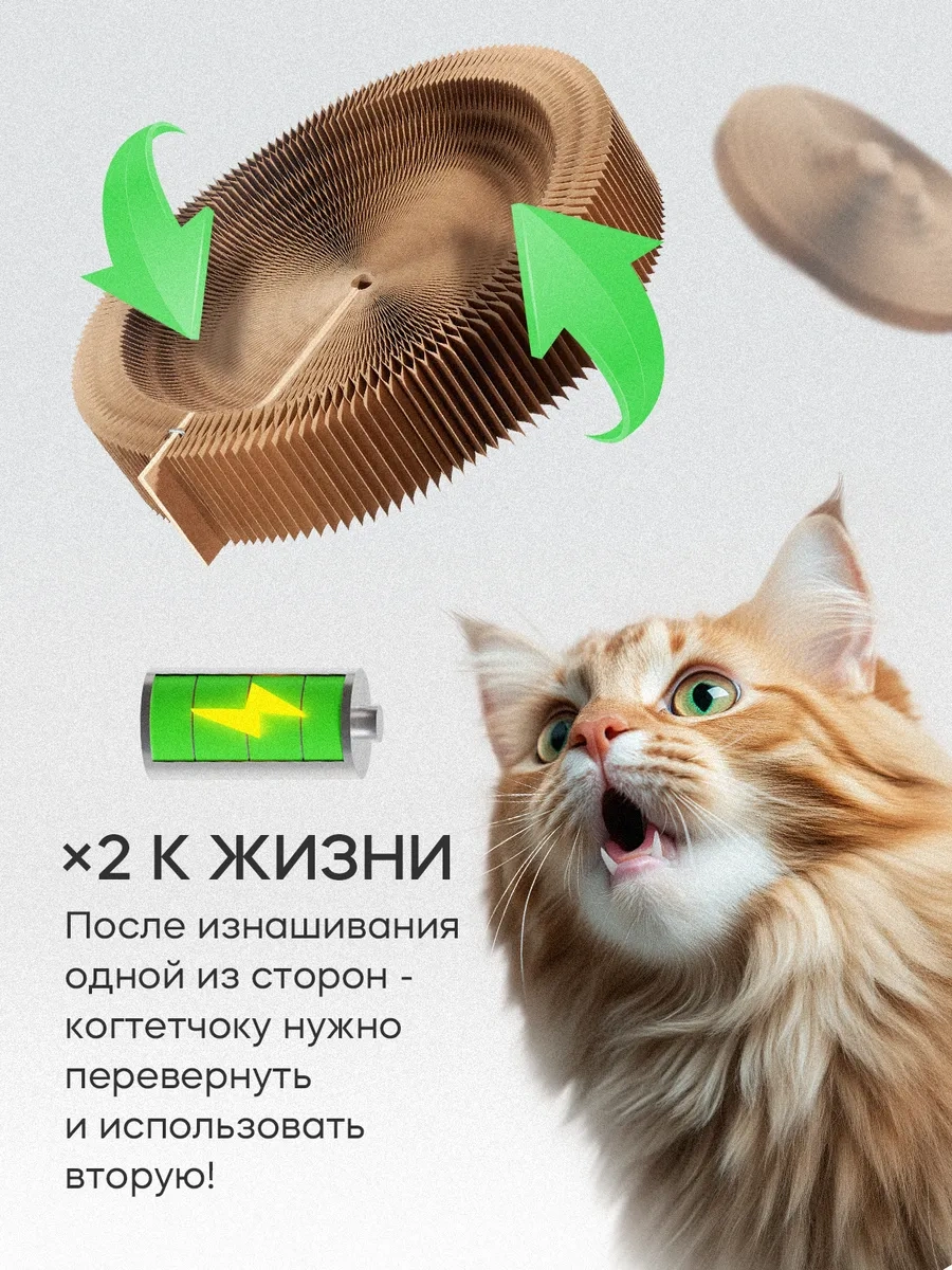 Kogtedralka Kedi Tırmalama Tahtası Yer Tipi Oyuncaklı, Yatak, 2 Adet 283385057