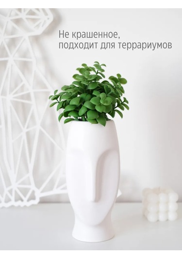 Wisty Dekor İçin 18,5 Cm Yapay Sukulent - Kırkayak Bitki 147202001 Yeşil