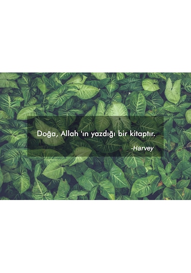 Yaprak anlamlı söz Fotoğraf Kanvas Tablo