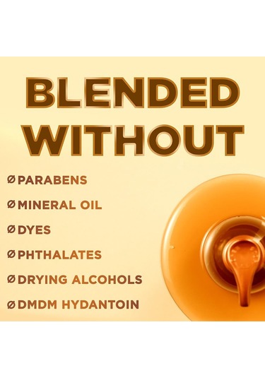 Garnier Whole Blends Bal Özlü Onarıcı Saç Serumu 150ml