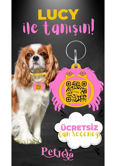Petjoo 11.Lucy Pembe-Sarı Qr'lı Köpek Künyesi