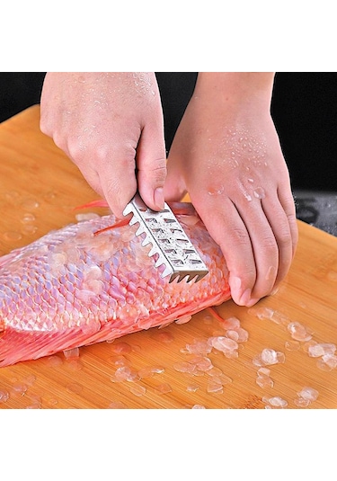 MSO Paslanmaz Çelik Balık Pulu Temizleme Aparatı