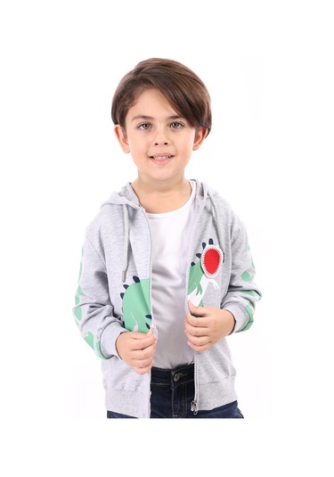 Toontoy Erkek Çocuk Baskılı Hırka Gri Melanj