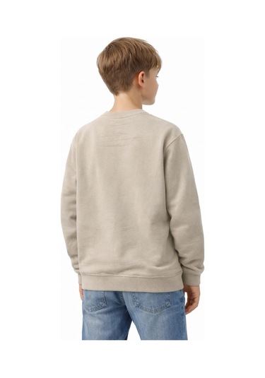 Baglan Erkek Çocuk Önü Baskılı Sweatshirt Bgl-st05233 Taş