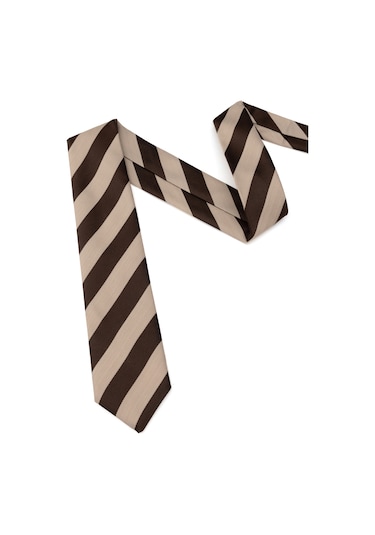 Pierre Cardin Erkek Kahverengi Kravat 50319181-400 Kahverengi