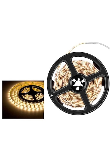 Cata Dış Mekan Silikonlu Günışığı Şerit Led Ct-4488 5 METRE