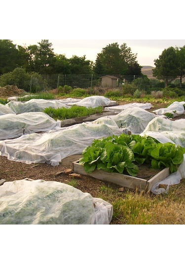160 CM X 100M Agril Isı Don Perdesi - Zirai Don Kırağı Örtü M 1
