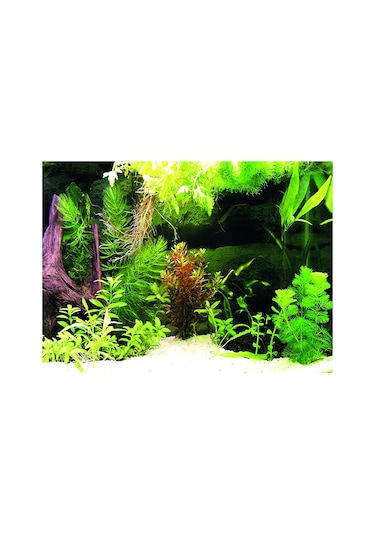Kanki Pet Kp5540036 Akvaryum Arka Fon Yapıştırma 55 X 40 Cm
