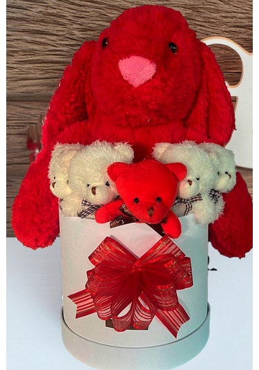 Özel Kutuda, Aşk Temalı Peluş Hediye Kutusu Kırmızı Jellycat Tavşan & 5 Mini Ayıcık Özel Tasarım