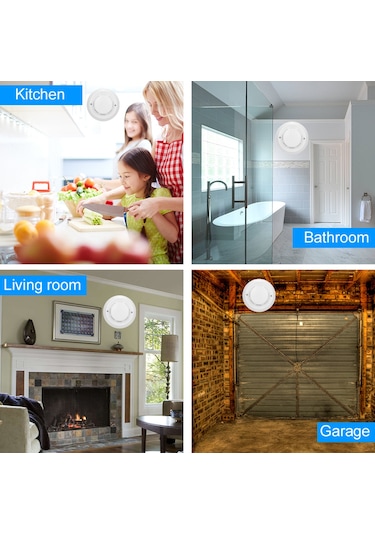 Dianziye Zh-501 Kablolu Sıcaklık Algılayıcı - Ev, Endüstri, Depo, Seracılık İçin Yüksek Hassasiyetli, 57 C Alarm, Dc 12-24v, Tavan Montajlı