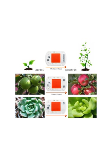 Cob Çip Led Büyümek Işık Phyto Lamba Ac 220v/110v 20w 30w 50w Tam Spektrum Büyüme İçin Sürücüye Gerek Yok Çiçek Fidesi Bitki Yetiştirme Diğer