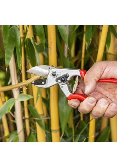 Felco 31 Budama Makası - 110235 Sağ By-Pass