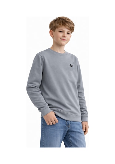Baglan Erkek Çocuk Sweatshirt Bgl-st05228 Gri