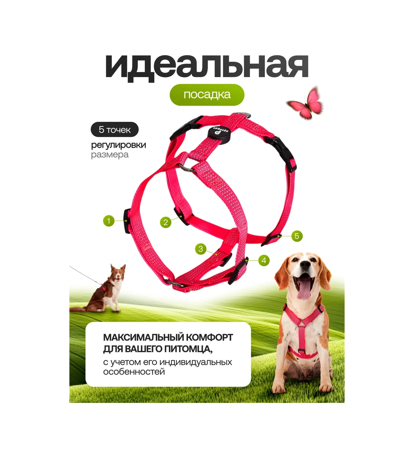 Petfort Köpekler İçin Anatomik Tasma 431184189