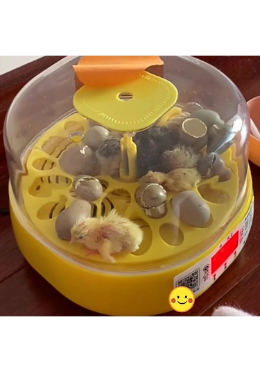 Ev Tipi Mini Kuluçka Makinesi - Civciv Çıkım Makinesi Otomatik