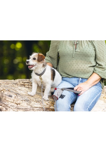 Beeztees Köpek Dışkı Toplama Poşeti Taşıma Çantası, Gri, 8x5x5cm