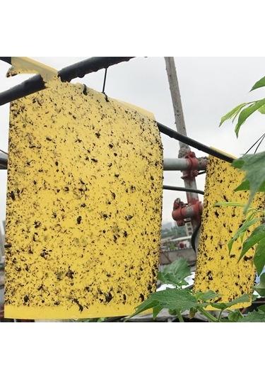 Geeroyoo Orman Bahçe Sebze Bahçesi İçin 20x25cm Sarı Çift Taraflı Tutkal Trapları - 20 Adet + Rastgele Renkli Bağlama İpi