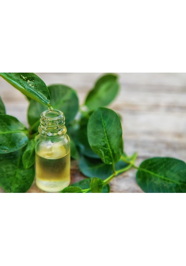 Egeden Her Yere Defne Yaprağı Yağı 10 ML