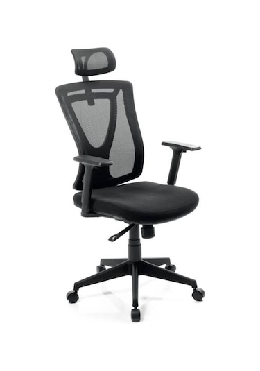 Dekofis Goldsit Ergonomik Yönetici Koltuğu