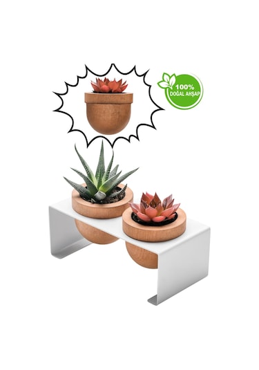 Halohope Metal Stantlı 2'li Skulent Saksısı Beyaz Saksılık