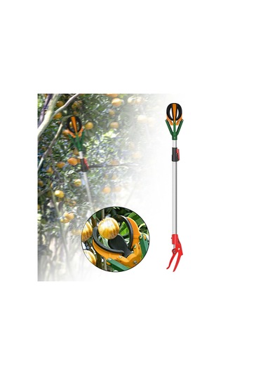 Suntek Limon Armut Mango Için Yüksek Tavanlar Meyve Toplayıcı