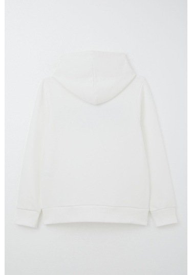 Breeze Erkek Çocuk Sweatshirt Yazı Baskılı Kanguru Cepli Kapüşonlu 8-14 Yaş, Beyaz Beyaz