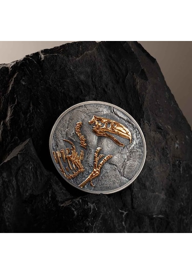 Agakulche Nimravidae Evrimi 2024 1 Ons Gümüş Sikke Coin