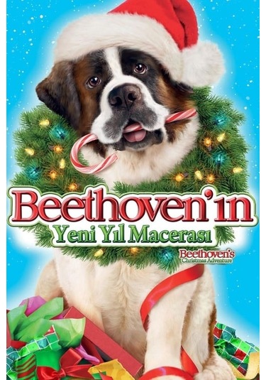 Beethoven'ın Hazine Macerası DVD