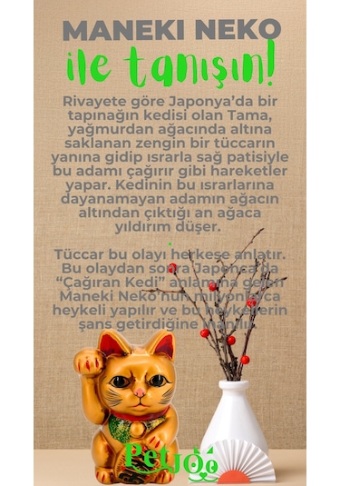 Petjoo 4.Maneki Neko Yeşil-Gri Qr'lı Kedi Künyesi