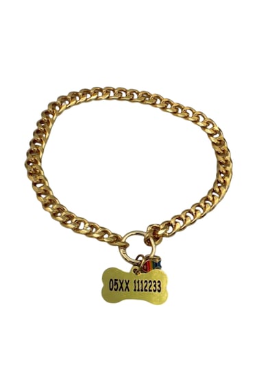 Caramelos İsimli Köpek Tasması- Köpek Zincir - Paslanmaz Çelik Köpek Kolyesi - Köpek Kolye - Orta Ve Büyük Irk Altın