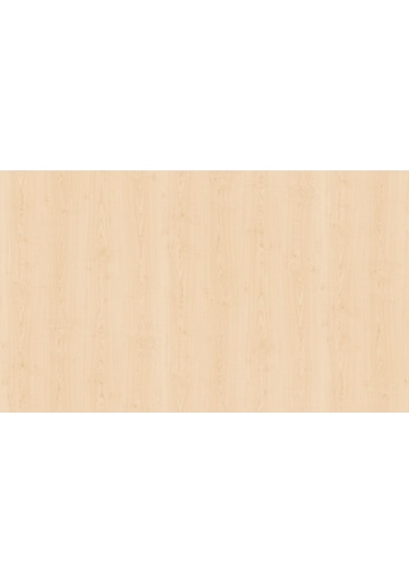 Asra Trend Akça Ağaç Ayakkabılık A-04 Mdflam Çok Renkli