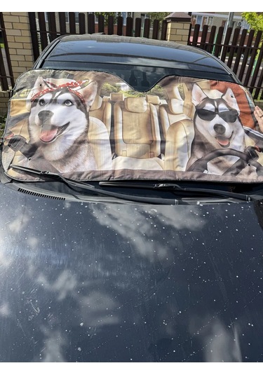 D.kovalev 140 X 70 Cm Ön Cam Güneşliği 249485092