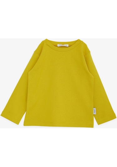 Breeze Erkek Çocuk Uzun Kollu Tişört Basic 1-4 Yaş, Fıstık Yeşili-fıstık Yeşili
