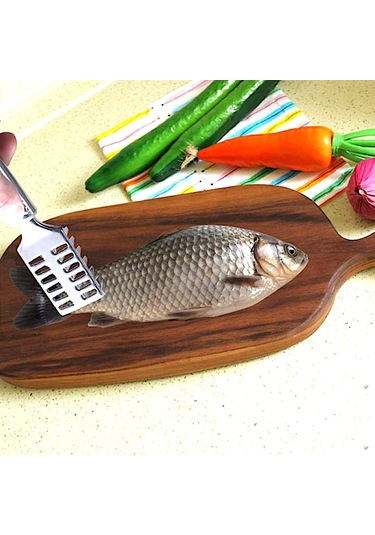 MSO Paslanmaz Çelik Balık Pulu Temizleme Aparatı